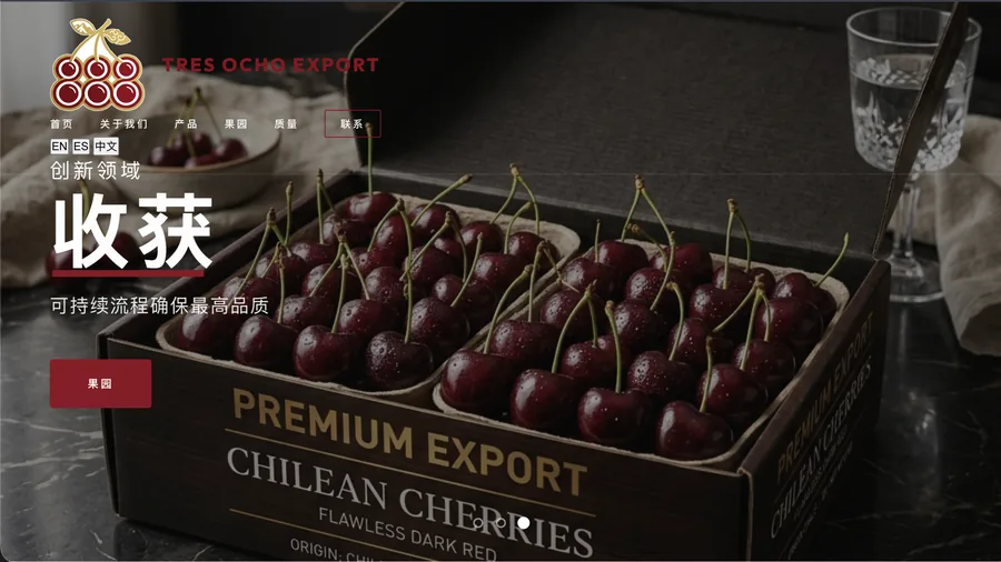 Portada del sitio de la exportadora en su versión en mandarín